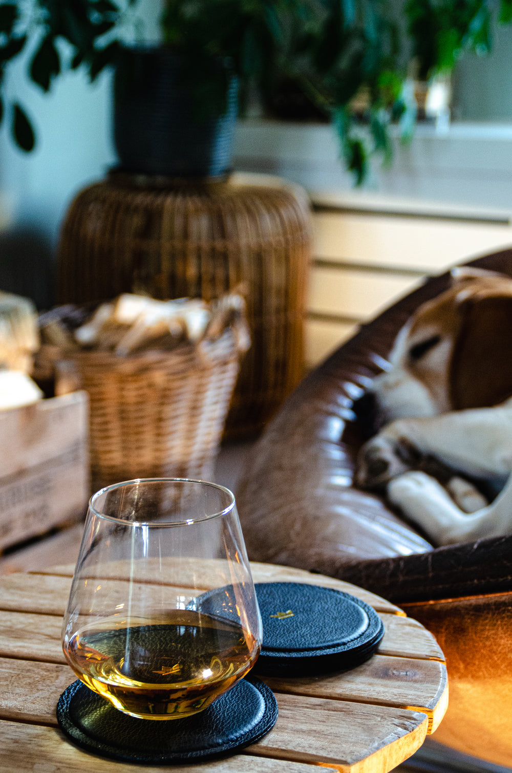 Dutchdeluxes - Waterafstotend - Onderzetter - 4 stuks - Leer - Zwart